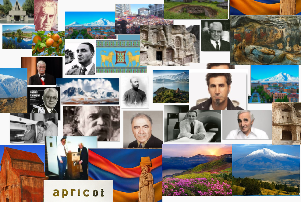 Welcome to ArmQuiz!